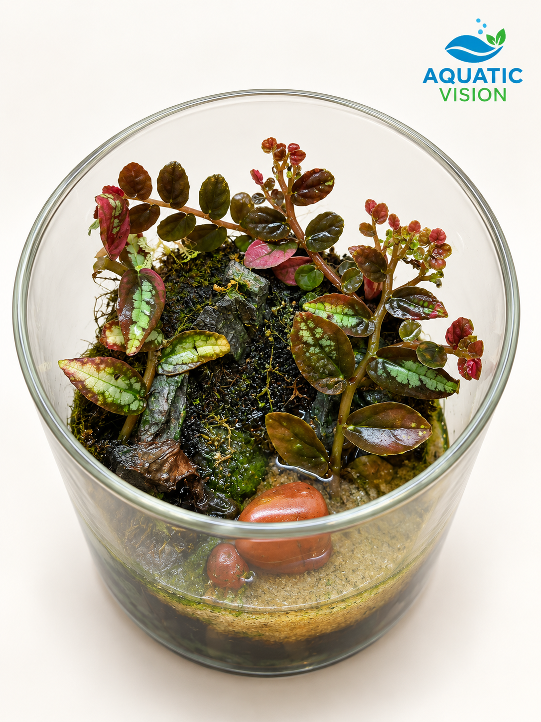 Ruby Mosaic Glass Terrarium