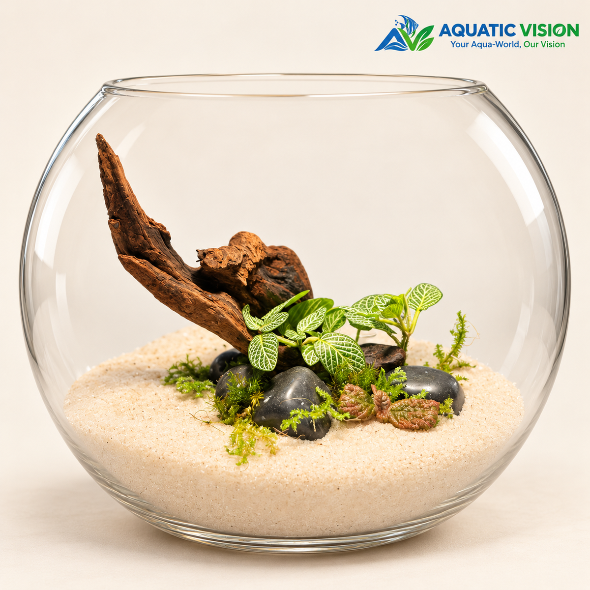 WHITE SAND DRIFTWOOD TERRARIUM – 10 - A TOUCH OF NATURE & ELEGANCE