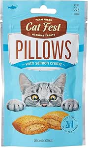 CAT FEST PILLOWS
