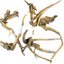 Drift Wood Dark color 20-40cm