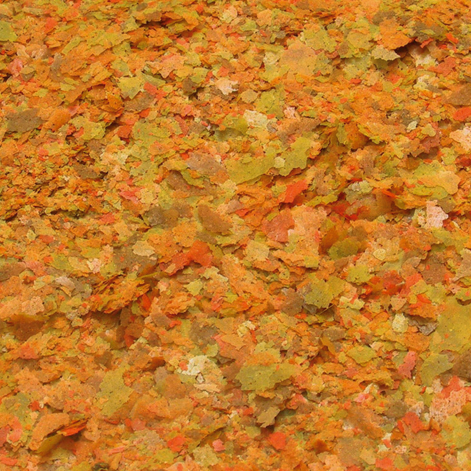 جي بي ال نوفو كولور 100 مل