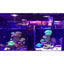 LED Aquarium Light 360 Degree Nano Fish Tank Light with Bamboo Board