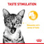ROYAL CANIN Care Digestive Gravy 85G