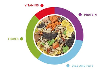 PADOVAN GRANDMIX CRICETI-GERBILLI 400G