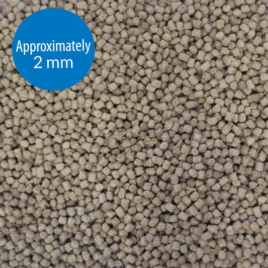 API Pellets Tropical Fish Food 45g