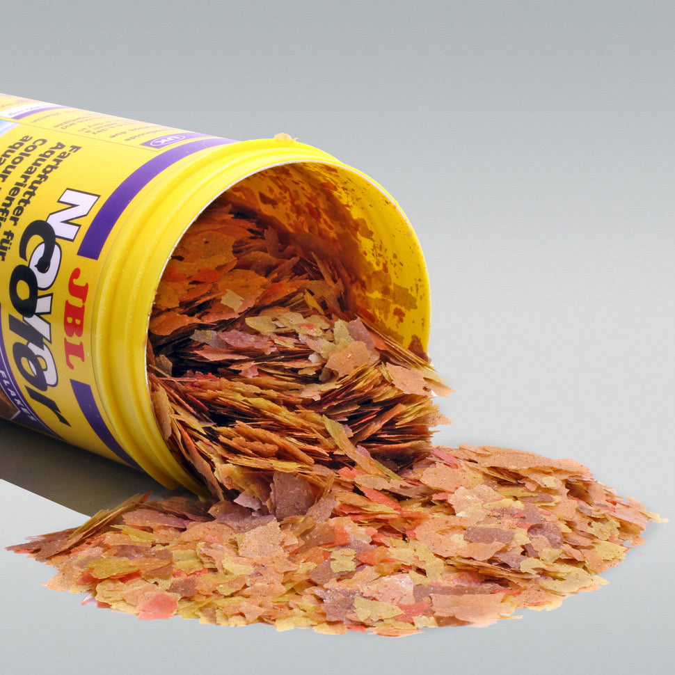 جي بي ال نوفو كولور 100 مل