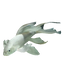 Butterfly Koi