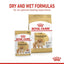 ROYAL CANIN Pomerian Adult Gravy 85G