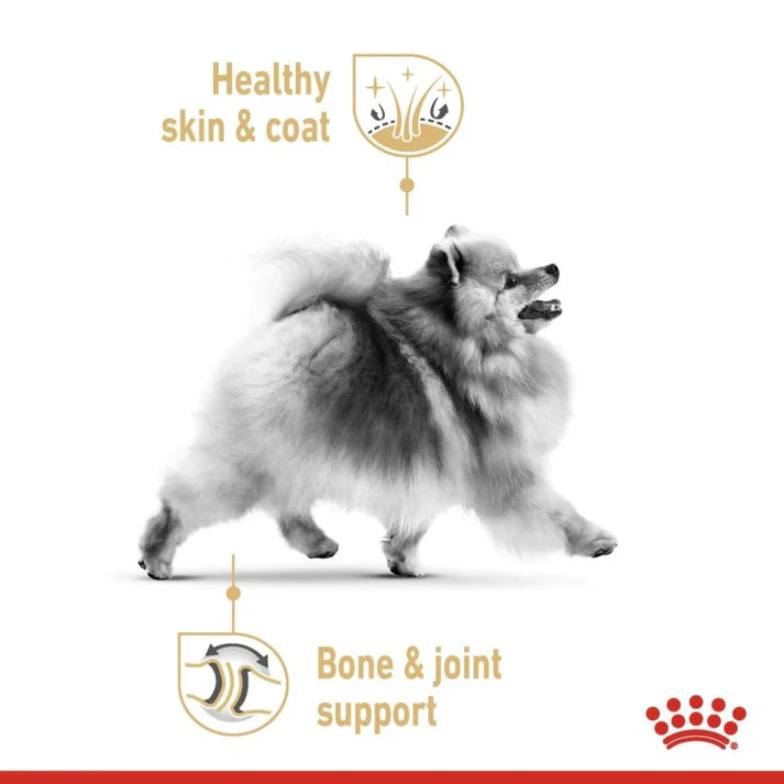 ROYAL CANIN Pomerian Adult Gravy 85G