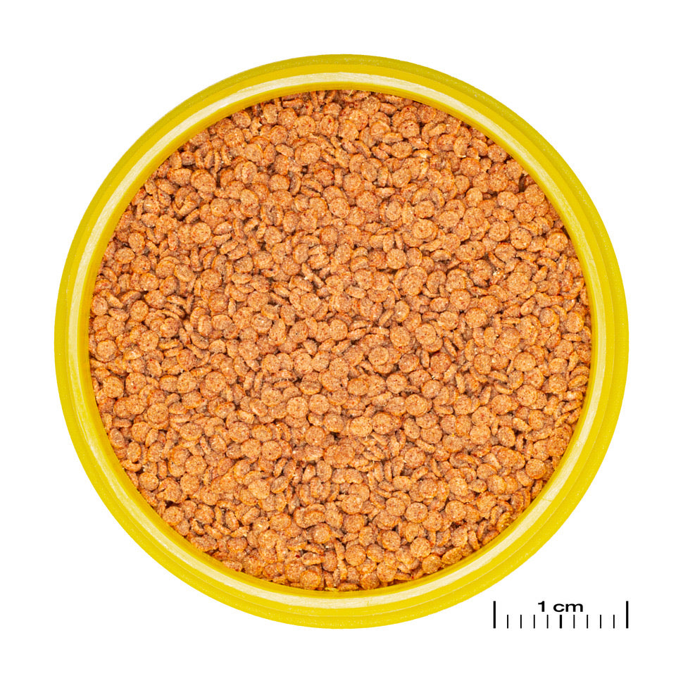 JBL PRO NOVO BETTA GRANULES 20ML