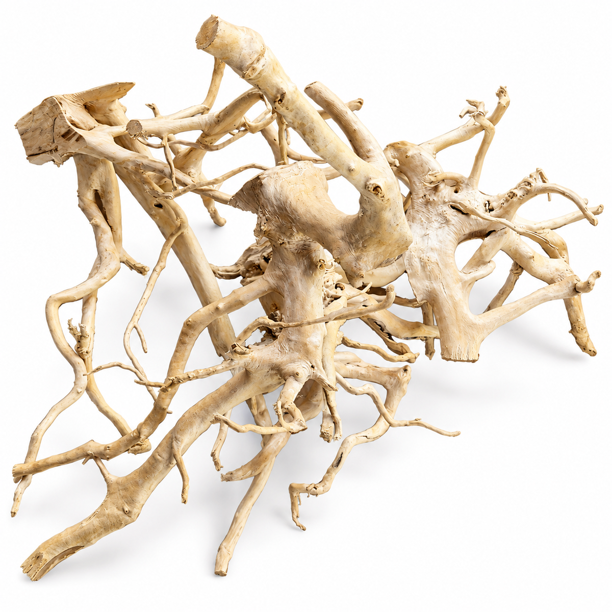 Natural Branch Driftwood – 40–60 cm