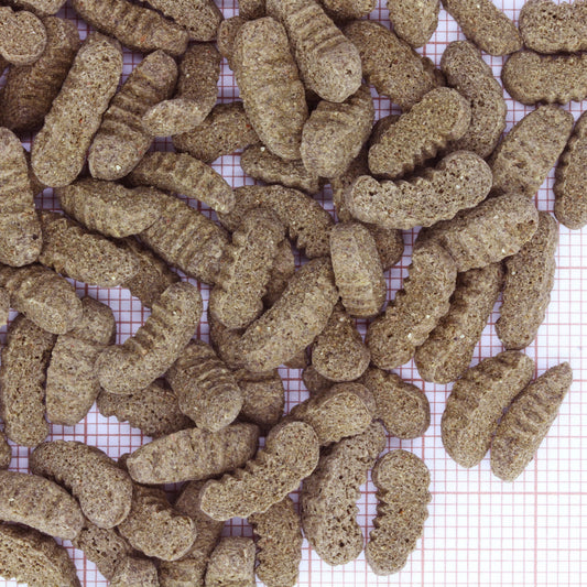 JBL PRO POND SILKWORMS M 1.0KG