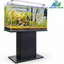 Golden River Forest – Natural Driftwood Planted Aquarium Aquascape