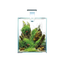 Aquael Shrimp Set Smart White-Day & Night[Volume - 20L]