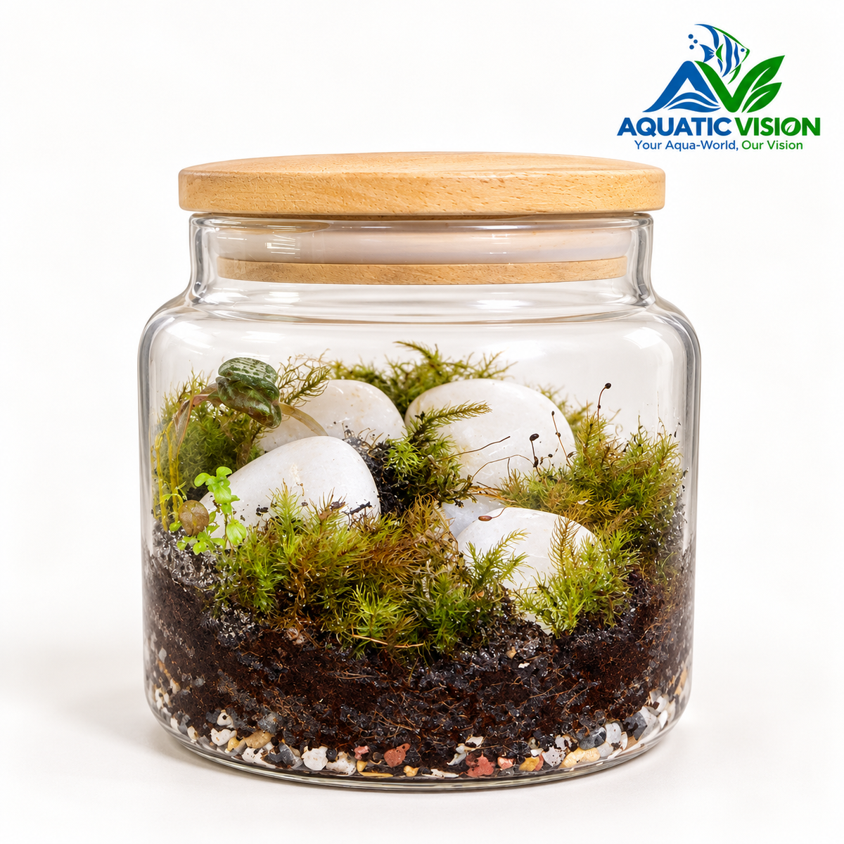 White Stone Oasis – Natural Moss Jar Terrarium with Wooden Lid