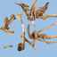 Drift Wood Dark color 20-40cm