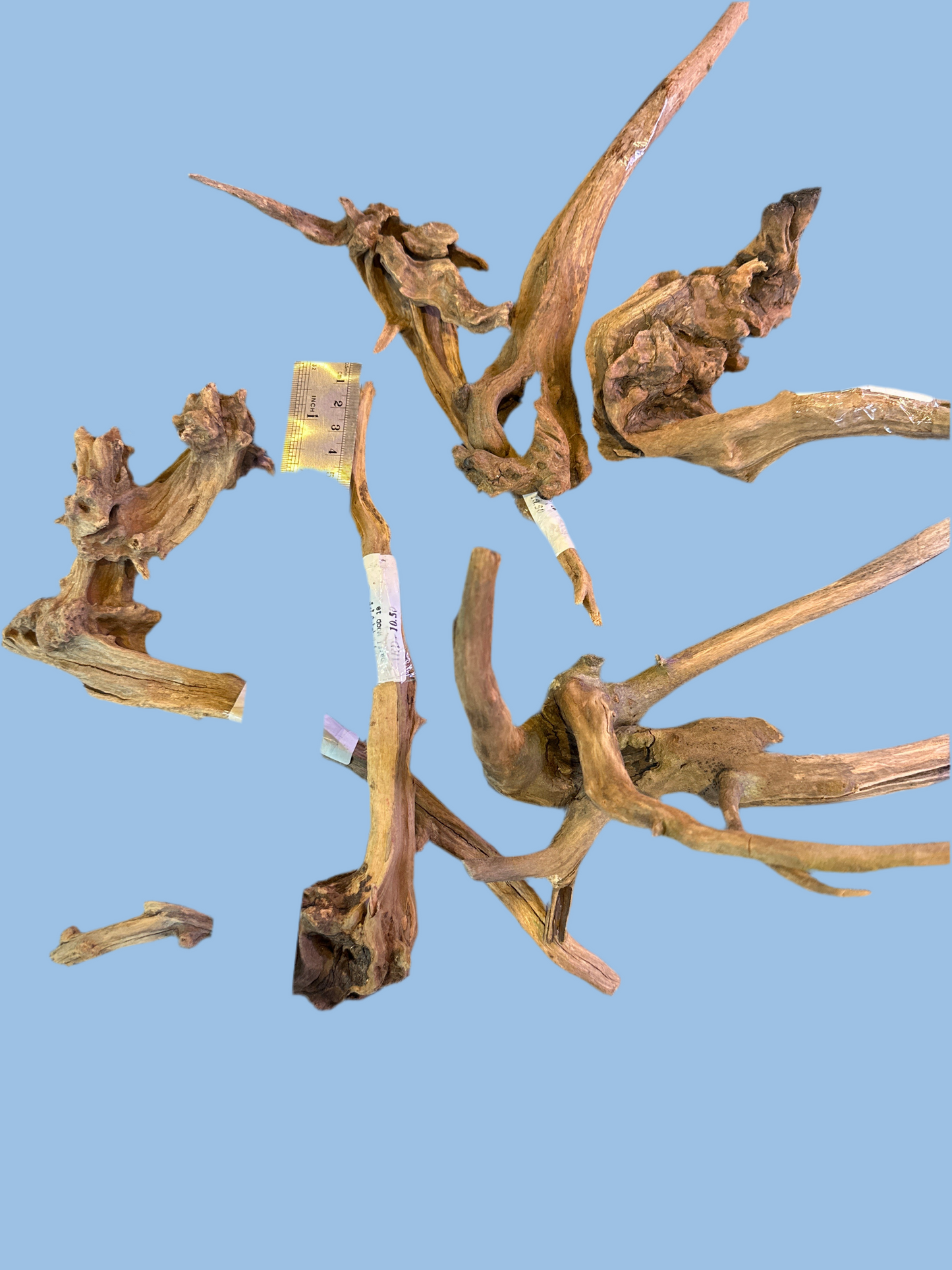 Drift Wood Dark color 20-40cm