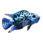 Electric Blue Jack Dempsey