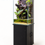 Rainforest Rise – Tropical Planted Paludarium with Glass Tank & Stand