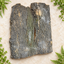 Natural Bark Wood – Decorative Slab