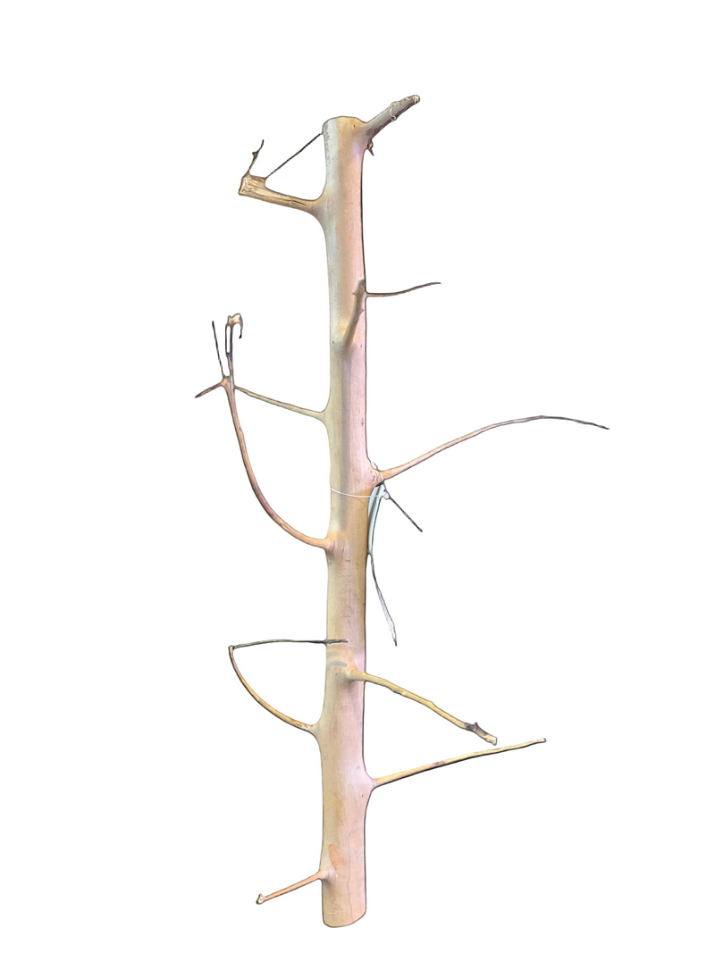 Long Hand Wood 30-45 cm