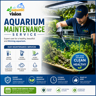 Maintenance Service