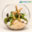 Woodland Drift – 10 - Natural Glass Bowl Terrarium