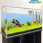 Emerald Highlands – Mountain Stone Carpet Planted Aquarium