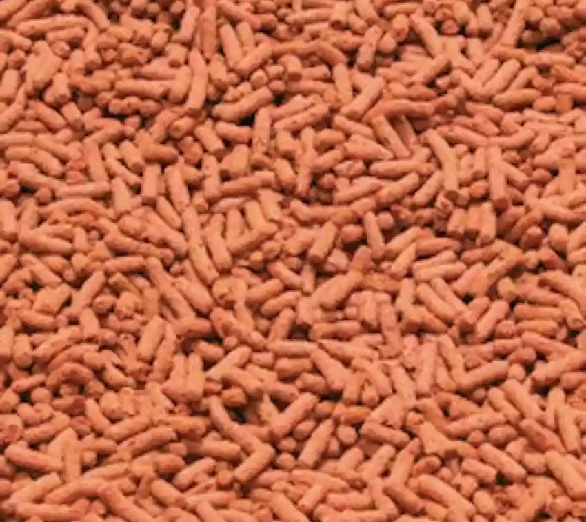 جي بي إل نوفو دراجون أروانا ستيكس 1 لتر