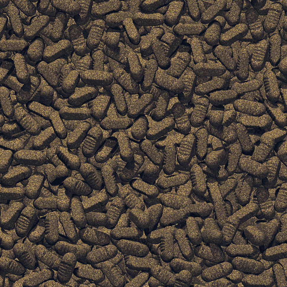 جي بي ال برو بوند سيلك وورمز M 1.0 كجم