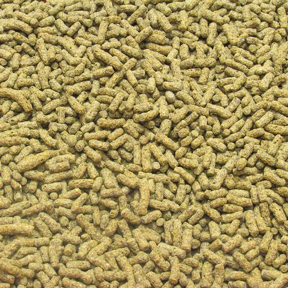 جي بي ال روجيل طعام السلاحف 100 مل