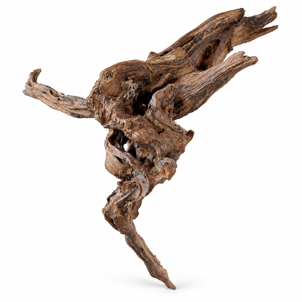 Natural Sculpted Driftwood – 20–40 cm