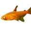 Ember Tetra 4PCS Combo Deal
