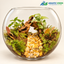 MINIATURE NATURE TERRARIUM – 10 - A LITTLE WORLD OF GREEN