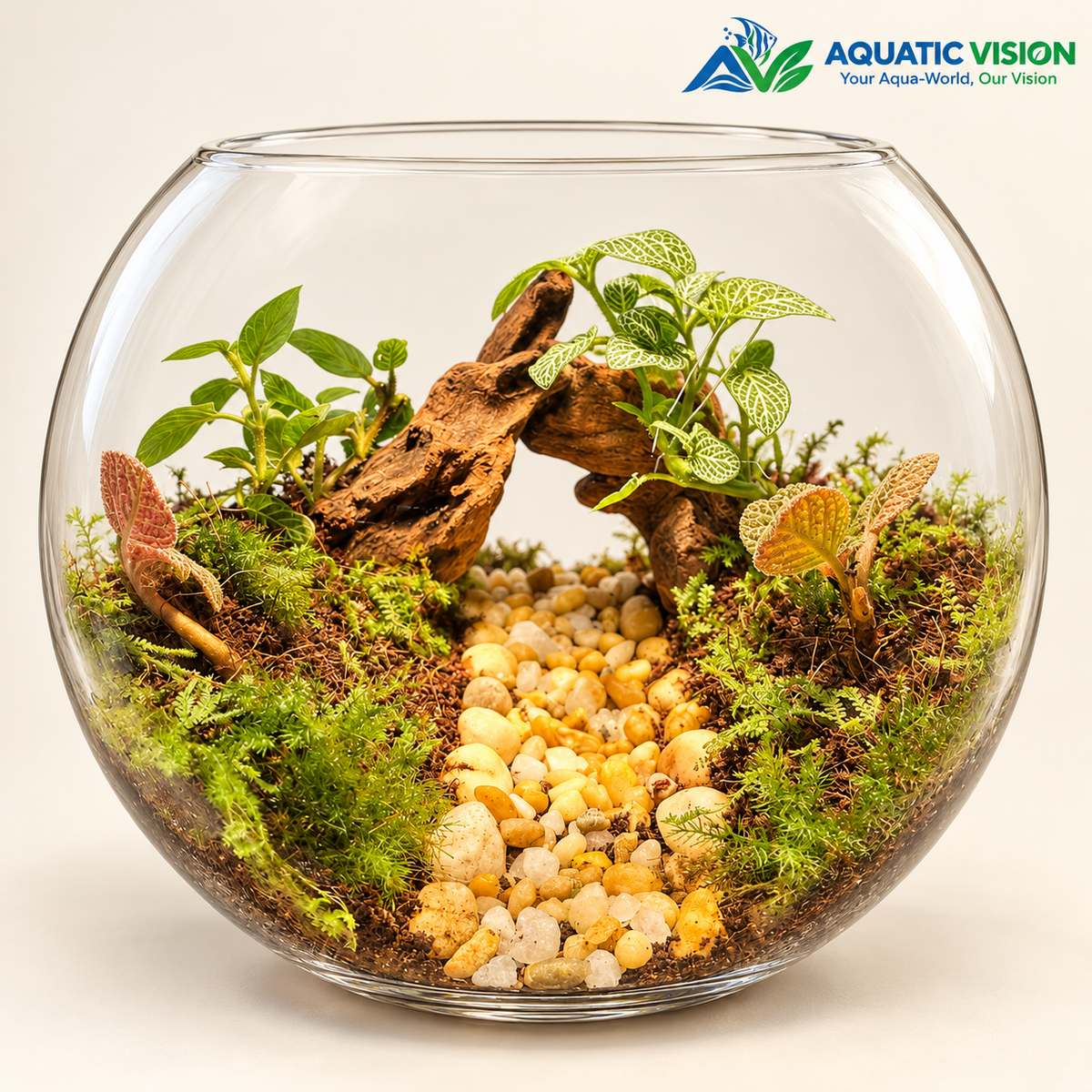MINIATURE NATURE TERRARIUM – 10 - A LITTLE WORLD OF GREEN