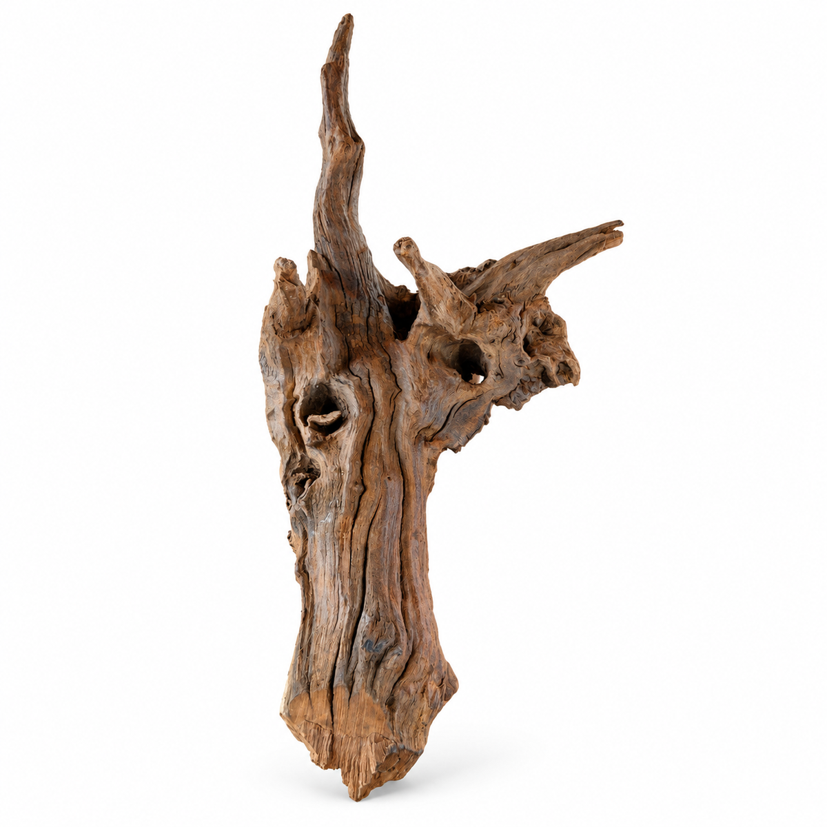 Natural Sculpted Driftwood – 20–40 cm