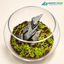 Slate Mountain – 8 - Natural Rock Garden Glass Bowl Terrarium