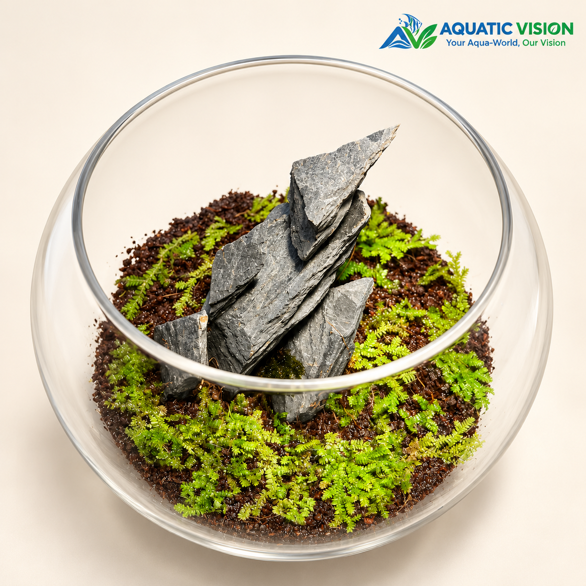 Slate Mountain – 8 - Natural Rock Garden Glass Bowl Terrarium