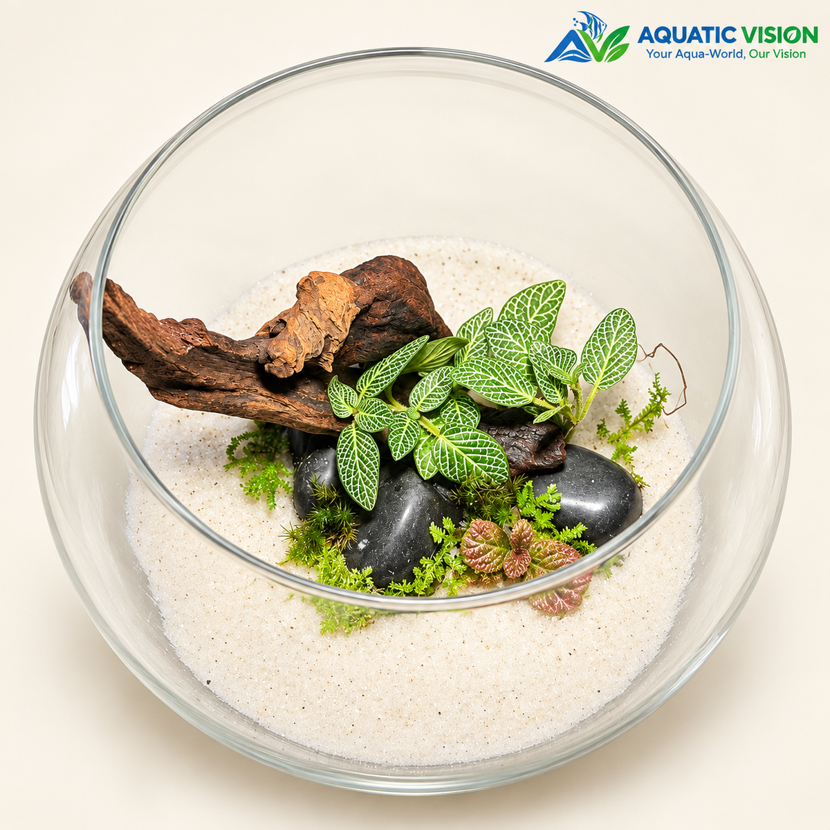 WHITE SAND DRIFTWOOD TERRARIUM – 10 - A TOUCH OF NATURE & ELEGANCE