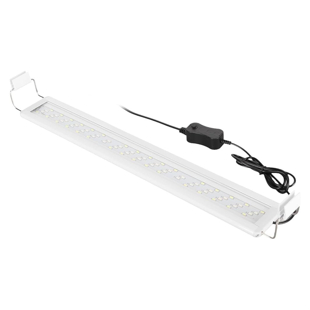 Roxin Led Top Light Colorfull