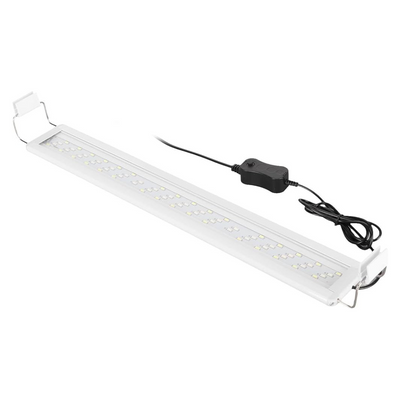 Roxin Led Top Light Colorfull