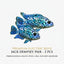 Electric Blue Jack Dempsey 2PCS Combo Deal