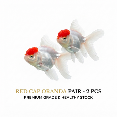 Red Cap 2PCS Combo Deal