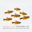 Silver Tip Tetra 6PCS Combo Deal (Copy)