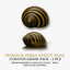 Zebra Snail 2PCS Combo Deal