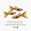 Endler Guppy 3PCS Combo Deal