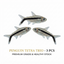 Penguin Tetra 3PCS Combo Deal
