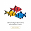 Tiger Barb 3PCS Combo Deal (Mix Color)