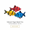 Tiger Barb 3PCS Combo Deal (Mix Color)