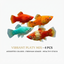 Platty 4PCS Combo Deal (Mix)